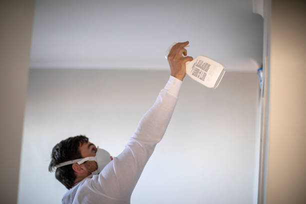 Best Attic Mold Removal  in Necedah, WI