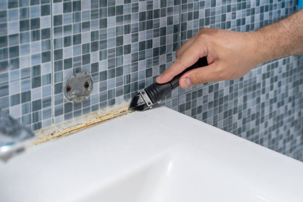Necedah, WI Mold Removal Company